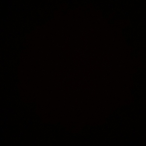 Meet your Posher, Loyalty - Picture 1 of 1